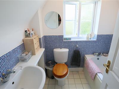 Picture 11